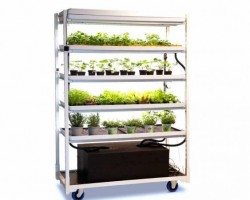 Agriculture verticale chariot Horti-Grow.