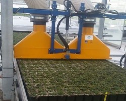 Tailleuse pour plantes et plants