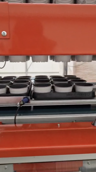 Installation d'une ligne de rempotage MosaGreen