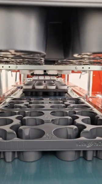 Installation d'une ligne de rempotage MosaGreen