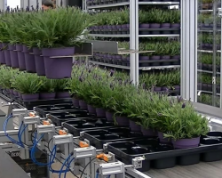 MANUTENTION DE POTS SORTIE/ENTRÉE DE PLATEAU