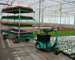 Chariot électrique Horti Trike 3000