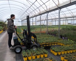 CHARIOT DE MANUTENTION HORTICOLE